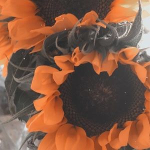 Meet your Posher, Evangelina